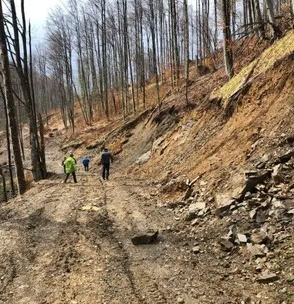 Drum forestier proiectat și executat de Dromcons