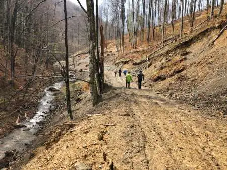 Imagine pentru:Studii și proiectare drumuri forestieregalerie