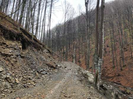 Imagine pentru:Studii și proiectare drumuri forestieregalerie