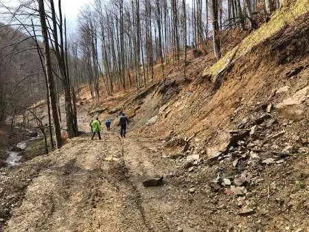 Imagine pentru:Studii și proiectare drumuri forestieregalerie