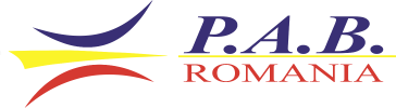 partener 11